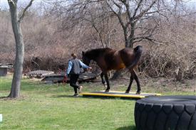 LR-WRF 0402026 Retreat-3460